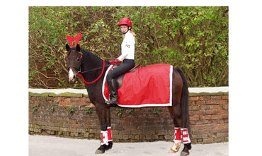 Showqueste Bandes de Noel - SHOP HORSE