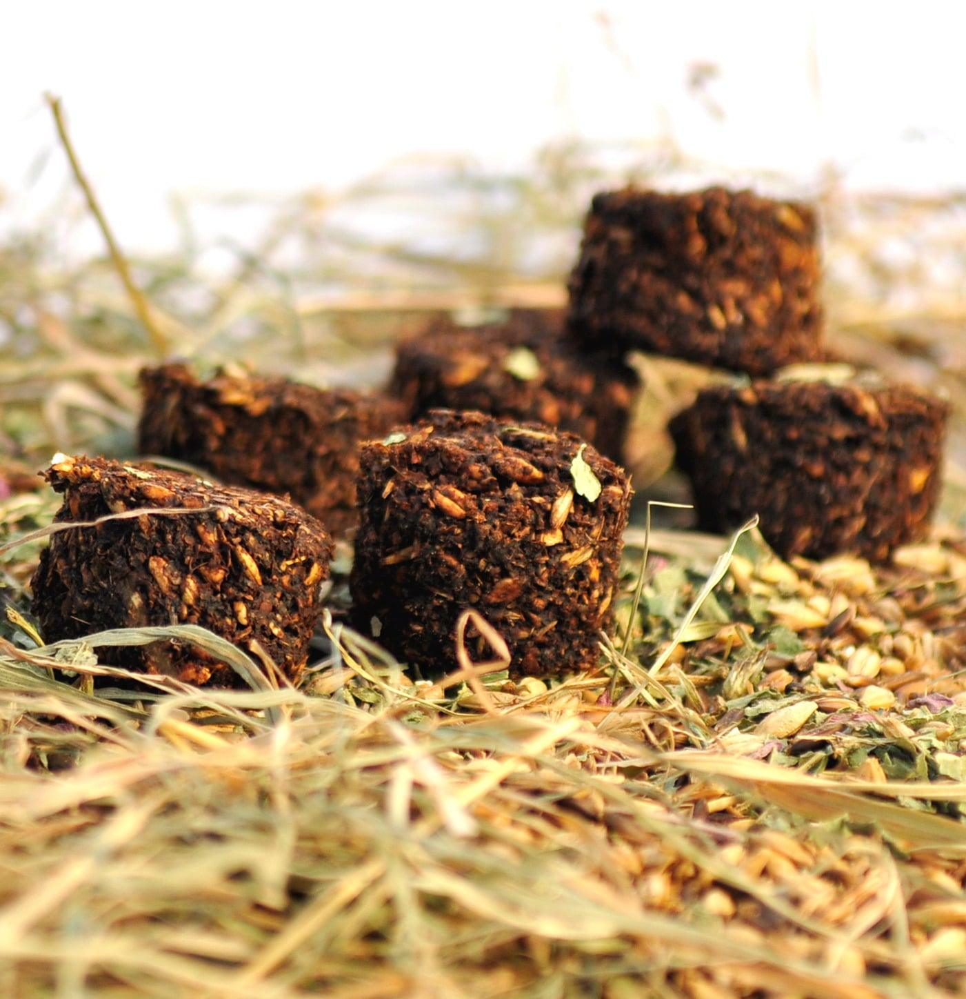 Stud Muffins Friandises - SHOPHORSE