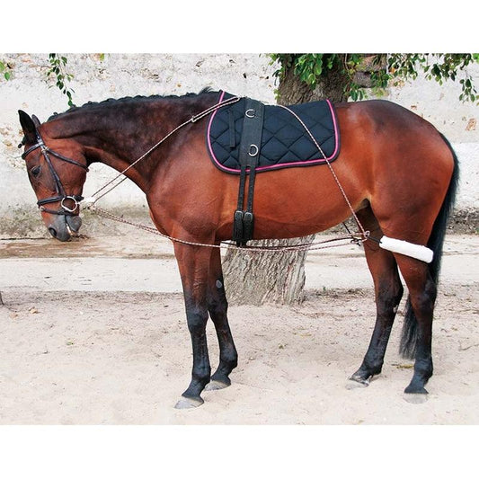 TdeT Enrenement de Travail - SHOP HORSE