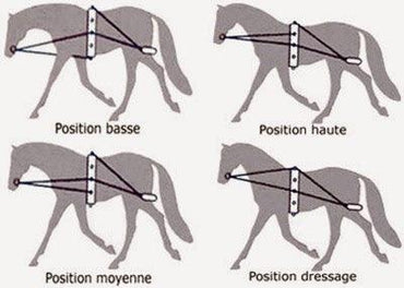 TdeT Enrenement de Travail - SHOP HORSE