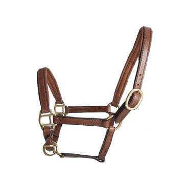 TdeT Licol Cuir Mini et Poulain - SHOP HORSE