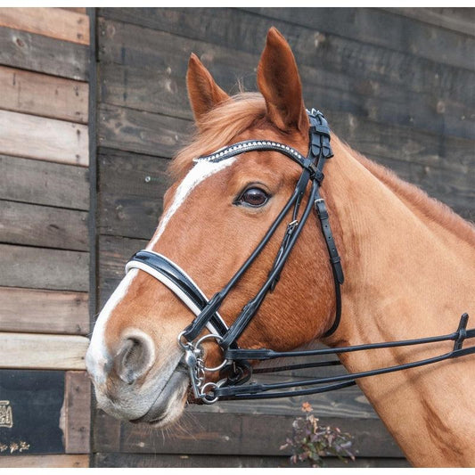 TdeT Bride Ribera - SHOPHORSE