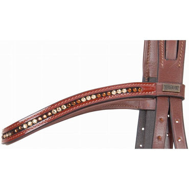 TdeT Bridon Botticelli - SHOPHORSE