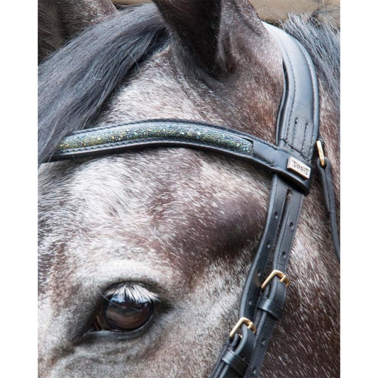 TdeT Bridon Guardi - SHOPHORSE