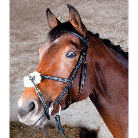 TdeT Bridon Kessel Croisée - SHOPHORSE