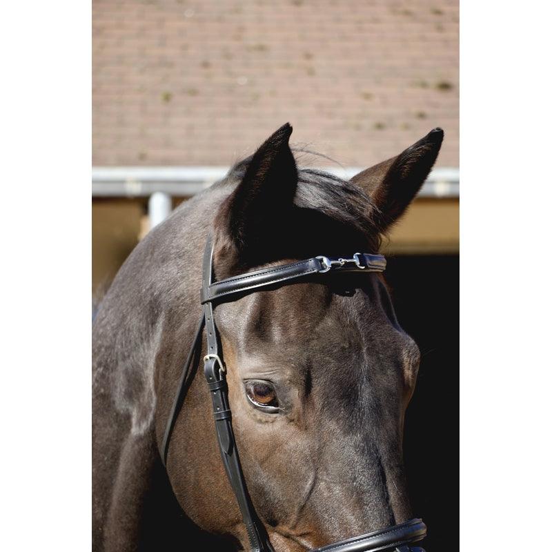 TdeT Bridon Renoir - SHOPHORSE