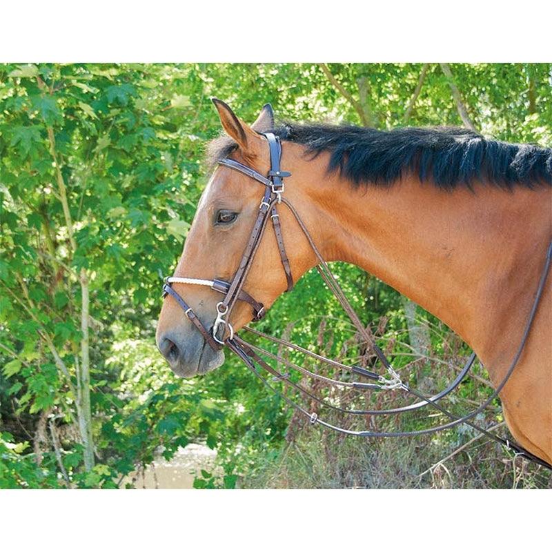 TdeT Gogue Classique - SHOPHORSE