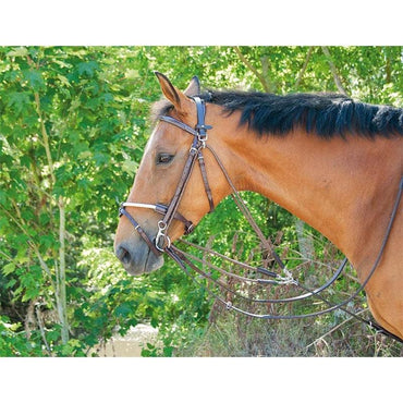 TdeT Gogue Classique - SHOPHORSE