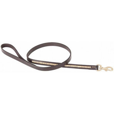 TdeT Laisse pour Chien Clincher - SHOPHORSE