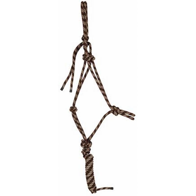 TdeT Licol et Longe Ethologique - SHOPHORSE