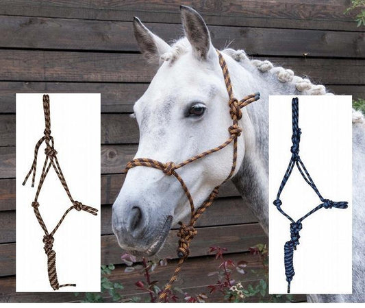 TdeT Licol et Longe Ethologique - SHOPHORSE