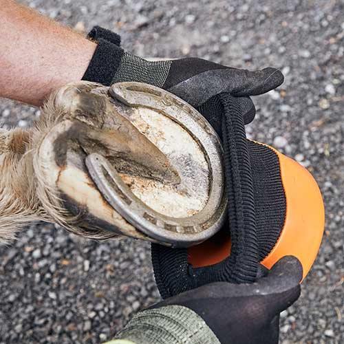 Tubbease Hoof Sock, Chaussette de Sabot - SHOPHORSE