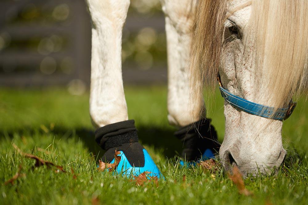 Tubbease Hoof Sock, Chaussette de Sabot - SHOPHORSE