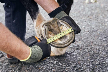 Tubbease Hoof Sock, Chaussette de Sabot - SHOPHORSE