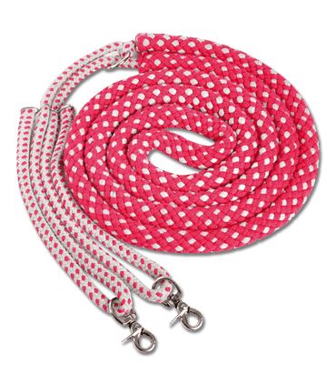 Waldhausen Enrenement a Longer - SHOPHORSE