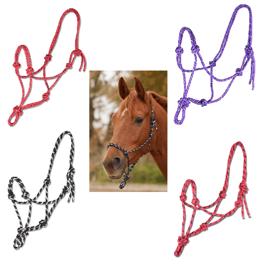 Waldhausen Licol Ethologique - SHOPHORSE