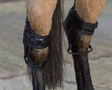 Westropp Protege Jarrets - SHOPHORSE