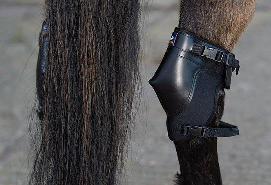 Westropp Protege Jarrets - SHOPHORSE