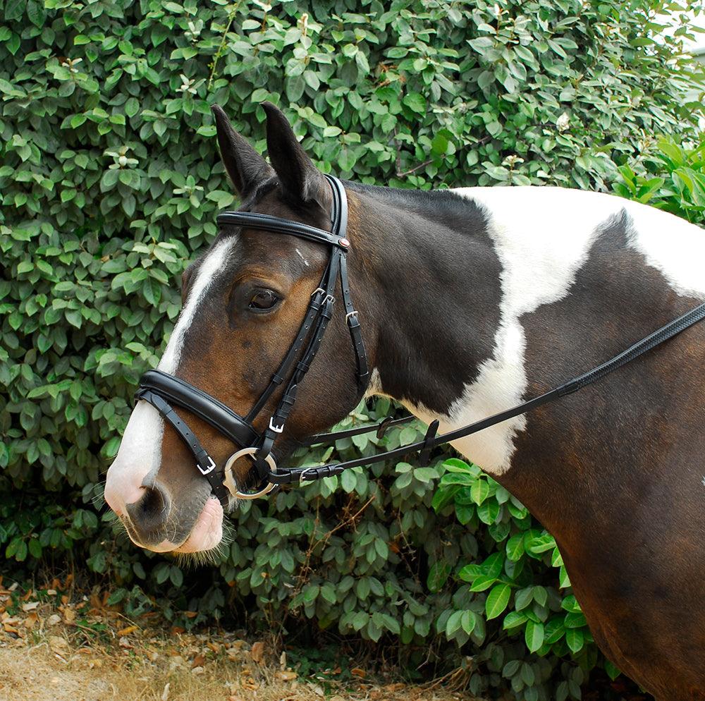 Windsor Bridon Confort - SHOP HORSE