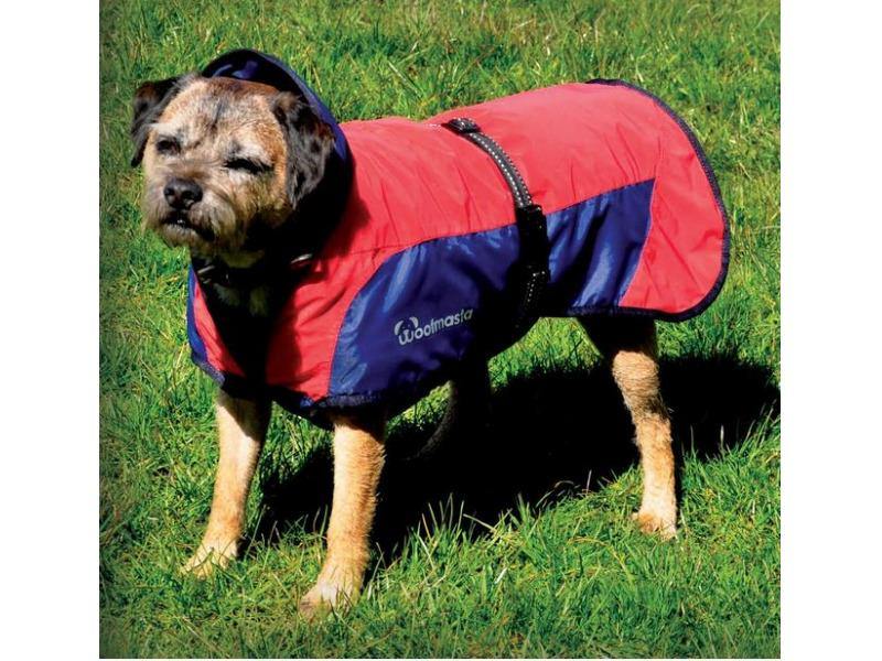 Woofmasta Secret Flash Couverture Chien - SHOPHORSE