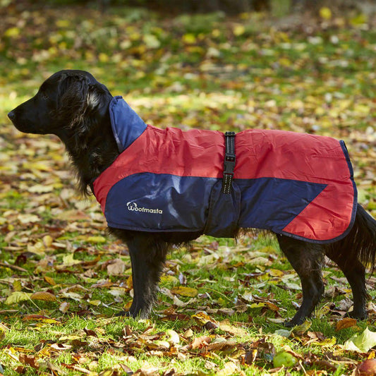 Woofmasta Secret Flash Couverture Chien - SHOPHORSE