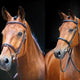 Shires Bridons du Qualite - SHOPHORSE