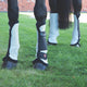 Guetres Anti Mouches - SHOPHORSE