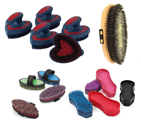Les brosses et Bouchons pour Cheval - SHOPHORSE