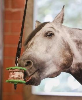 Delizia Sandwich Friandises Cheval - SHOPHORSE