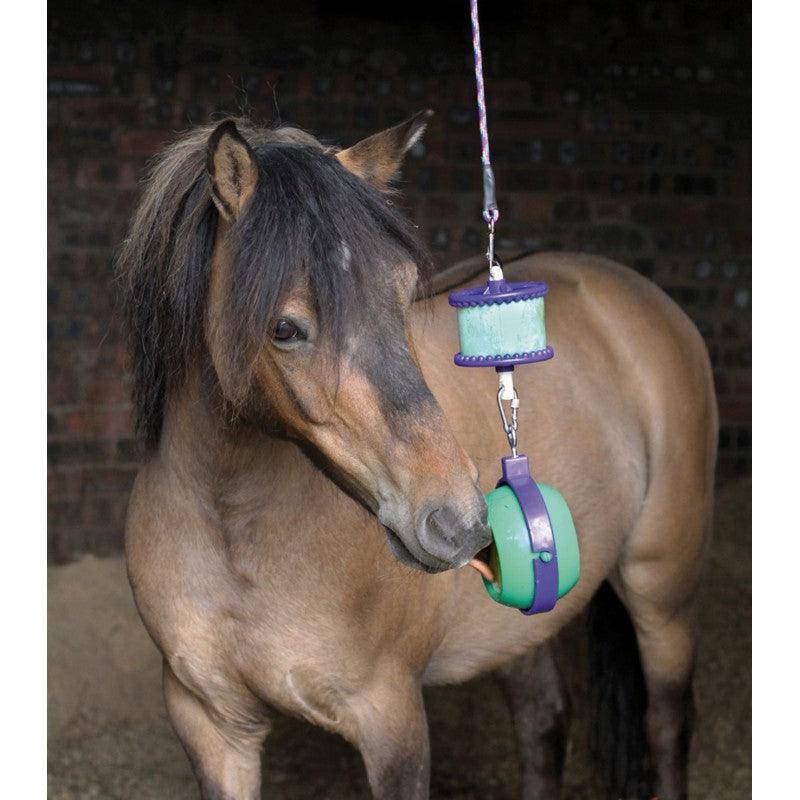 Likit cheval, support likit pour chevaux Likit cheval, support likit pour chevaux