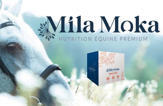 Mila Moka - SHOPHORSE