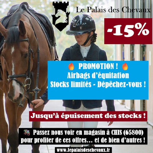 Promotion Gilet Airbags Cavalier
