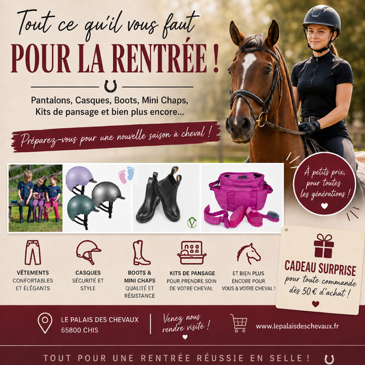 La Rentrée au Palais des Chevaux !