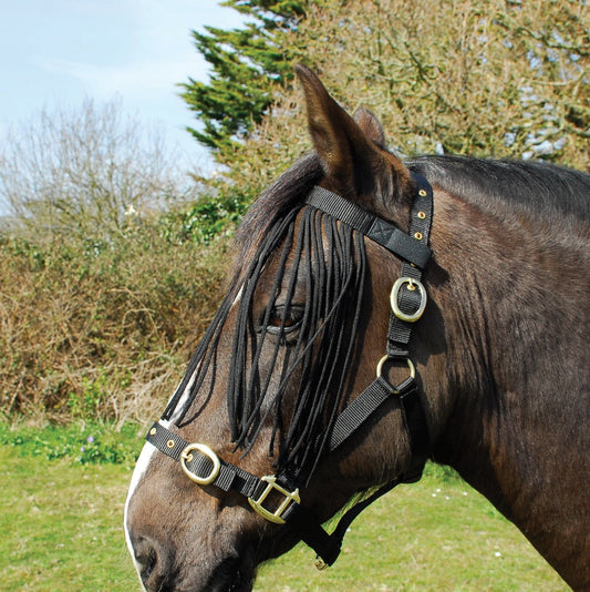 Rhinegold Franges Anti-Mouches