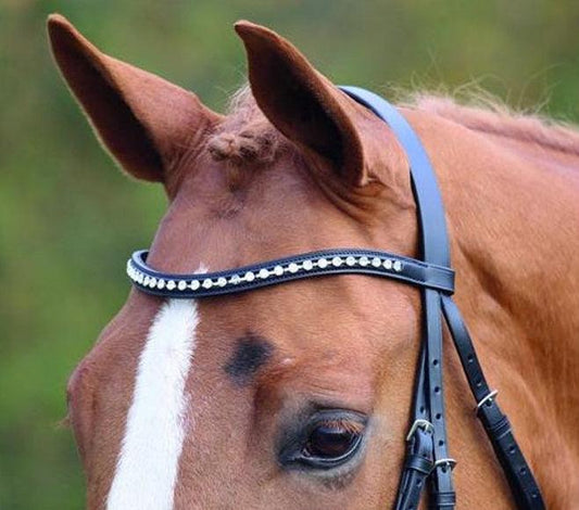 Frontals pour votre Cheval et Poney - SHOPHORSE