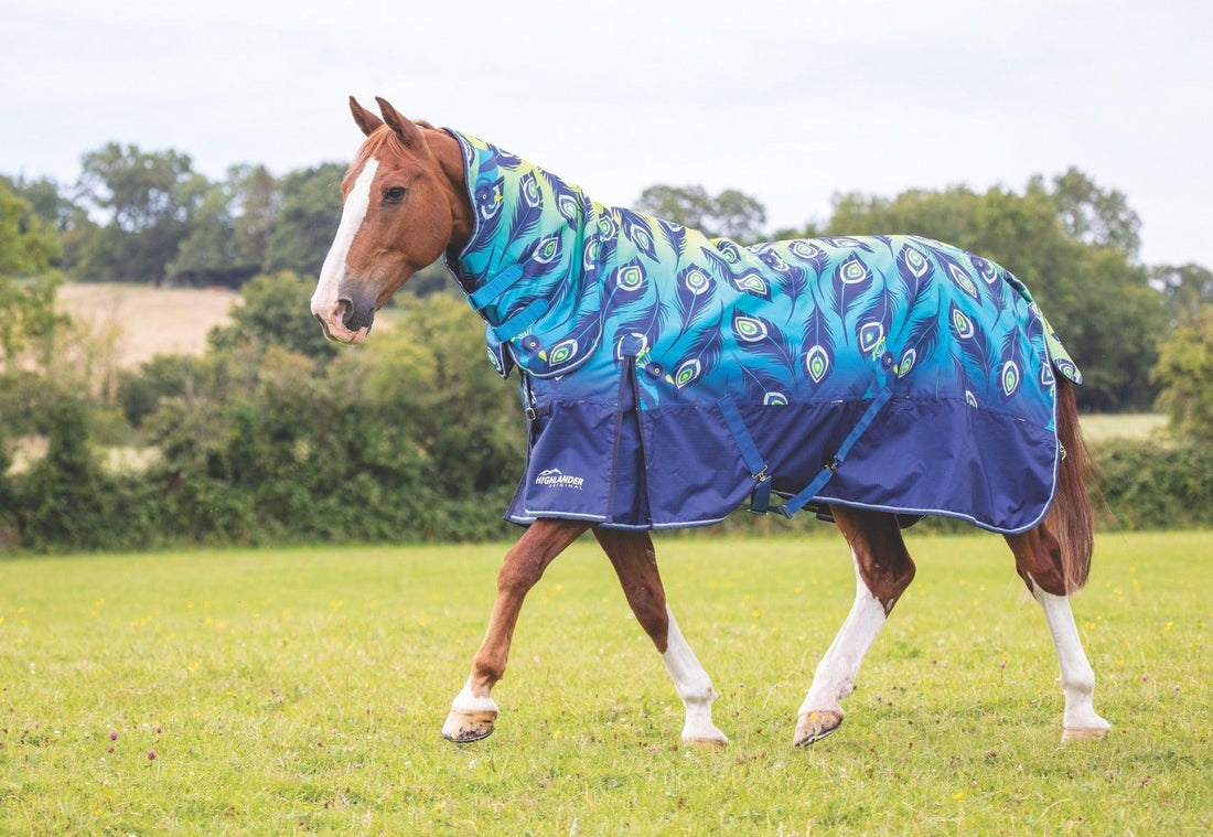 Shires Highlander Original Combo 100g - SHOPHORSE