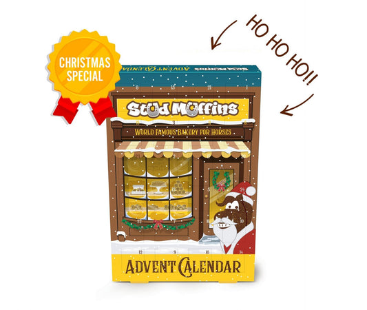 Stud Muffin Calendrier D'Advent - SHOPHORSE