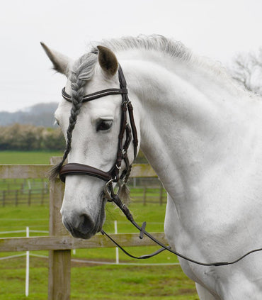 Rhinegold Bridon Anatomique - SHOPHORSE