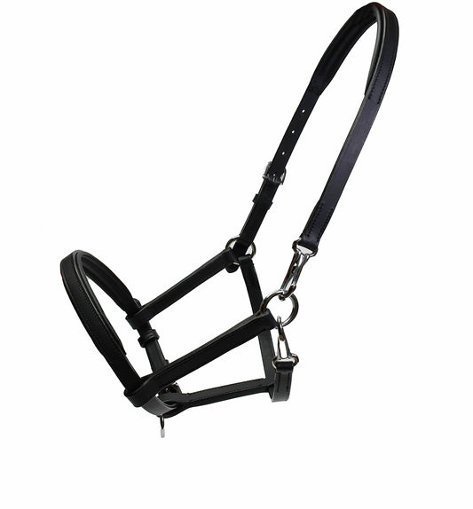 Rhinegold Licol en cuir Yearling
