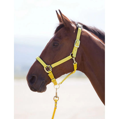 Shires Licol Topaz
