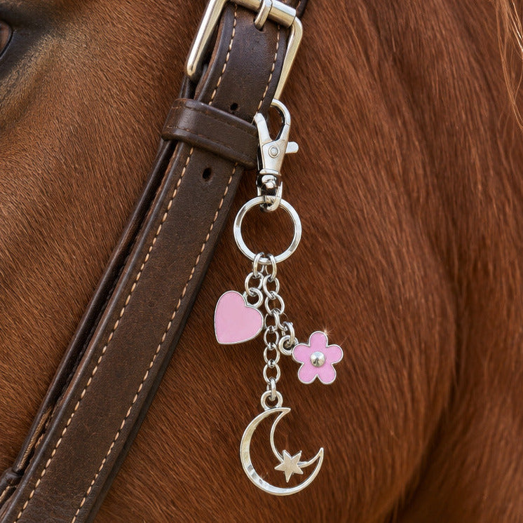 Bijoux pour Bridon Argenté
