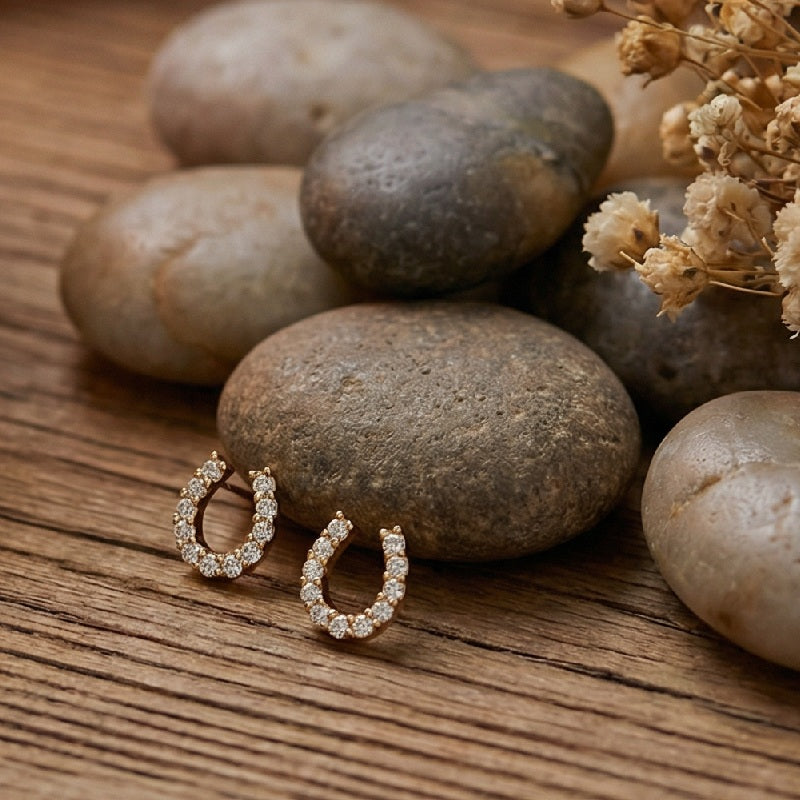 Boucle d'Oreilles Argent 925 et Strass