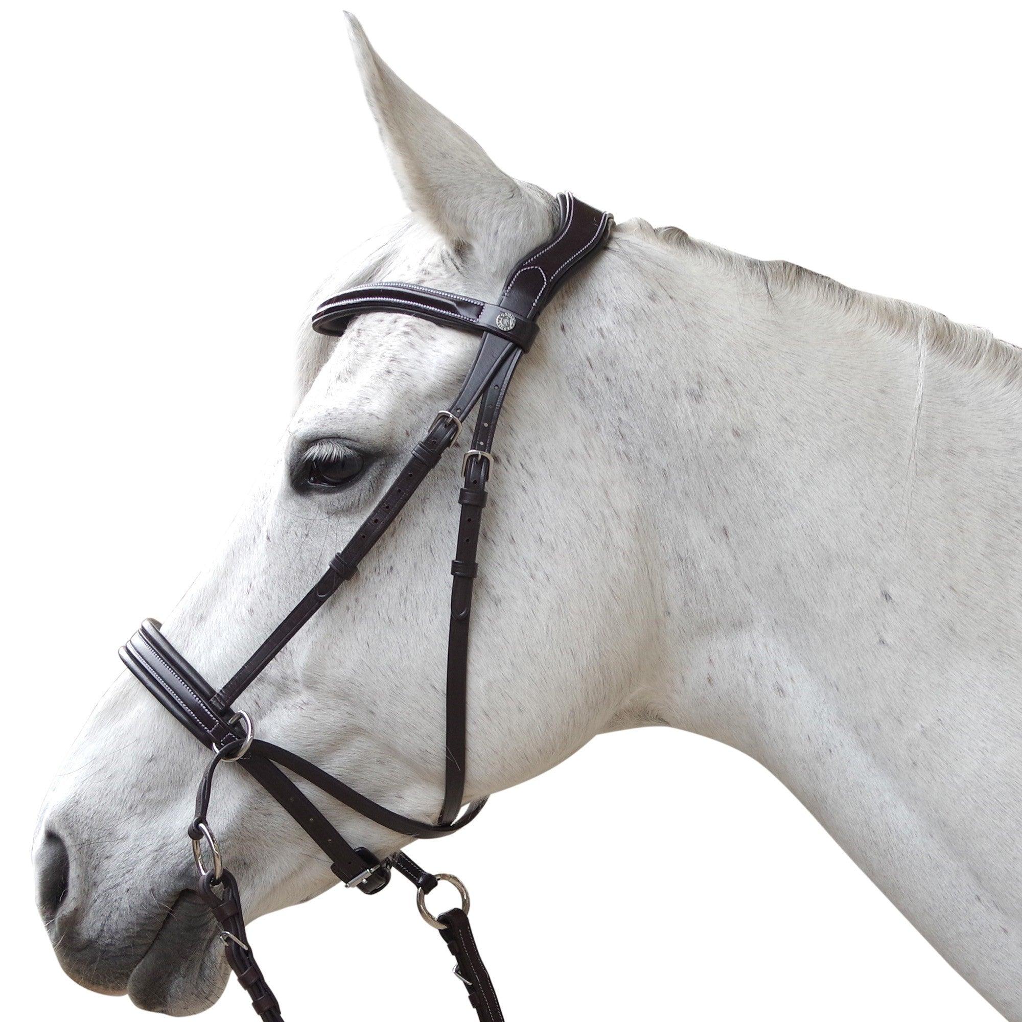 Bridon Bitless Evolution - SHOPHORSE