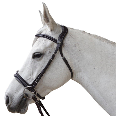 Bridon Bitless Evolution - SHOPHORSE
