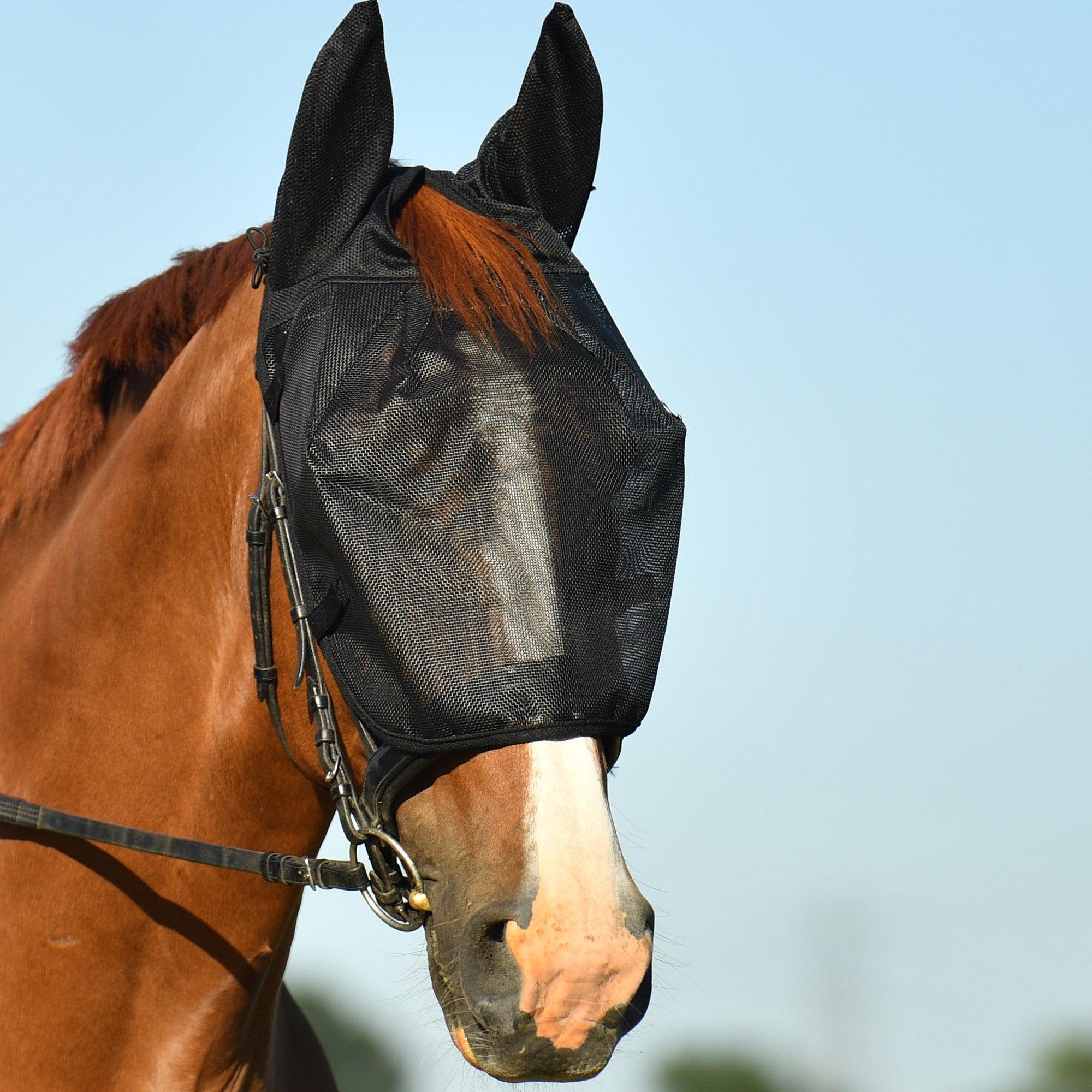 Equilibrium Masque Anti Mouches Travail - SHOPHORSE