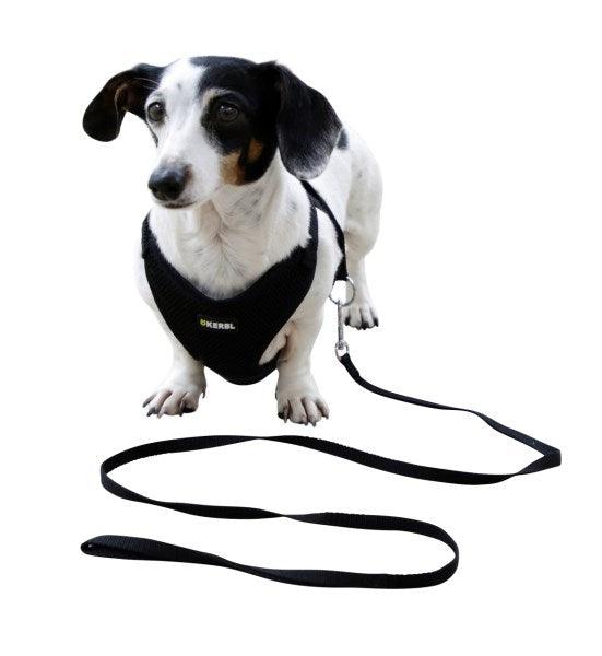 Harnais pour Chiots avec Laisse - SHOPHORSE