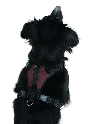 Harnais pour Chien Pulsive - SHOPHORSE