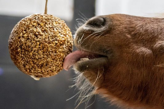 Likit Granola Stall Ball - SHOPHORSE