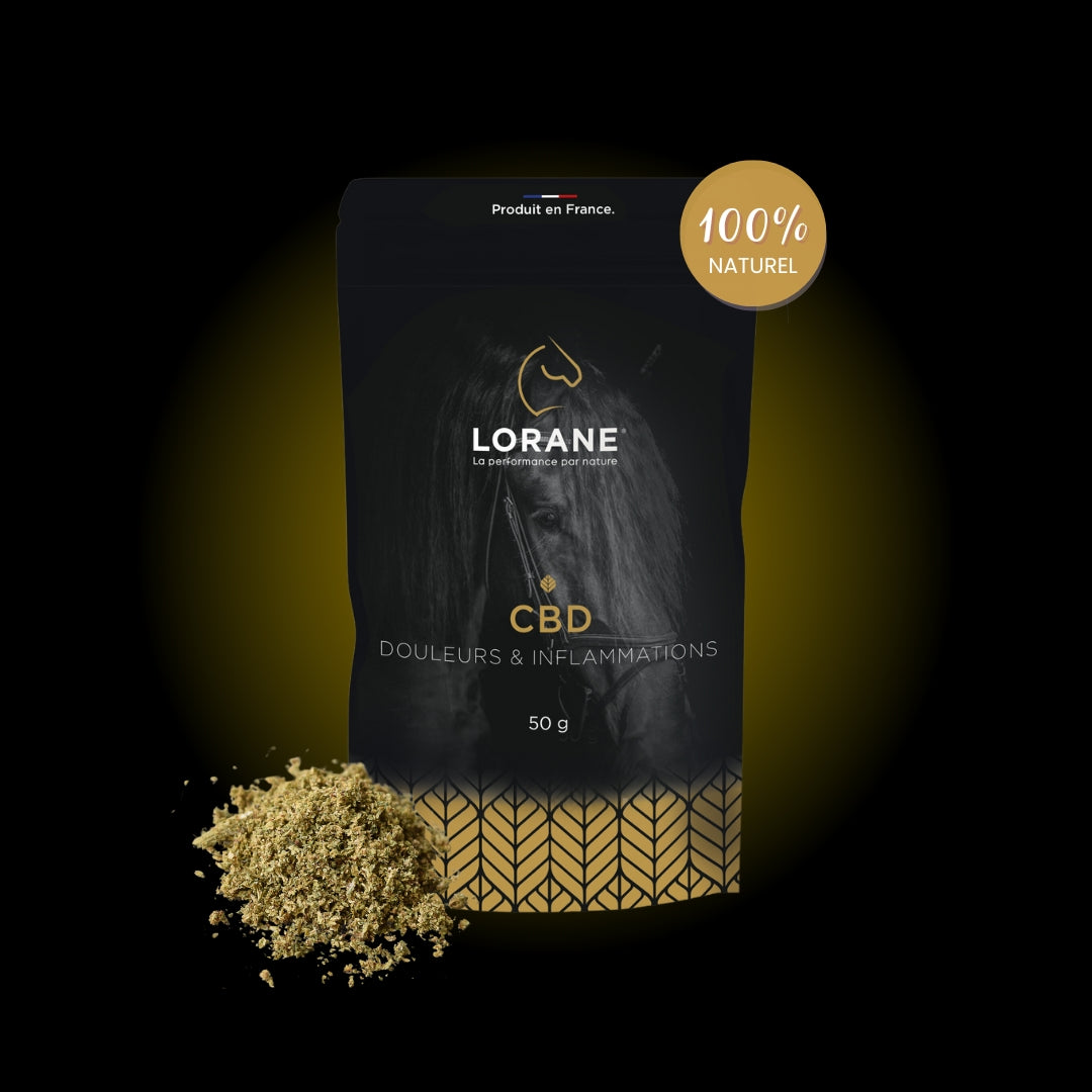 Lorane Equin CBD