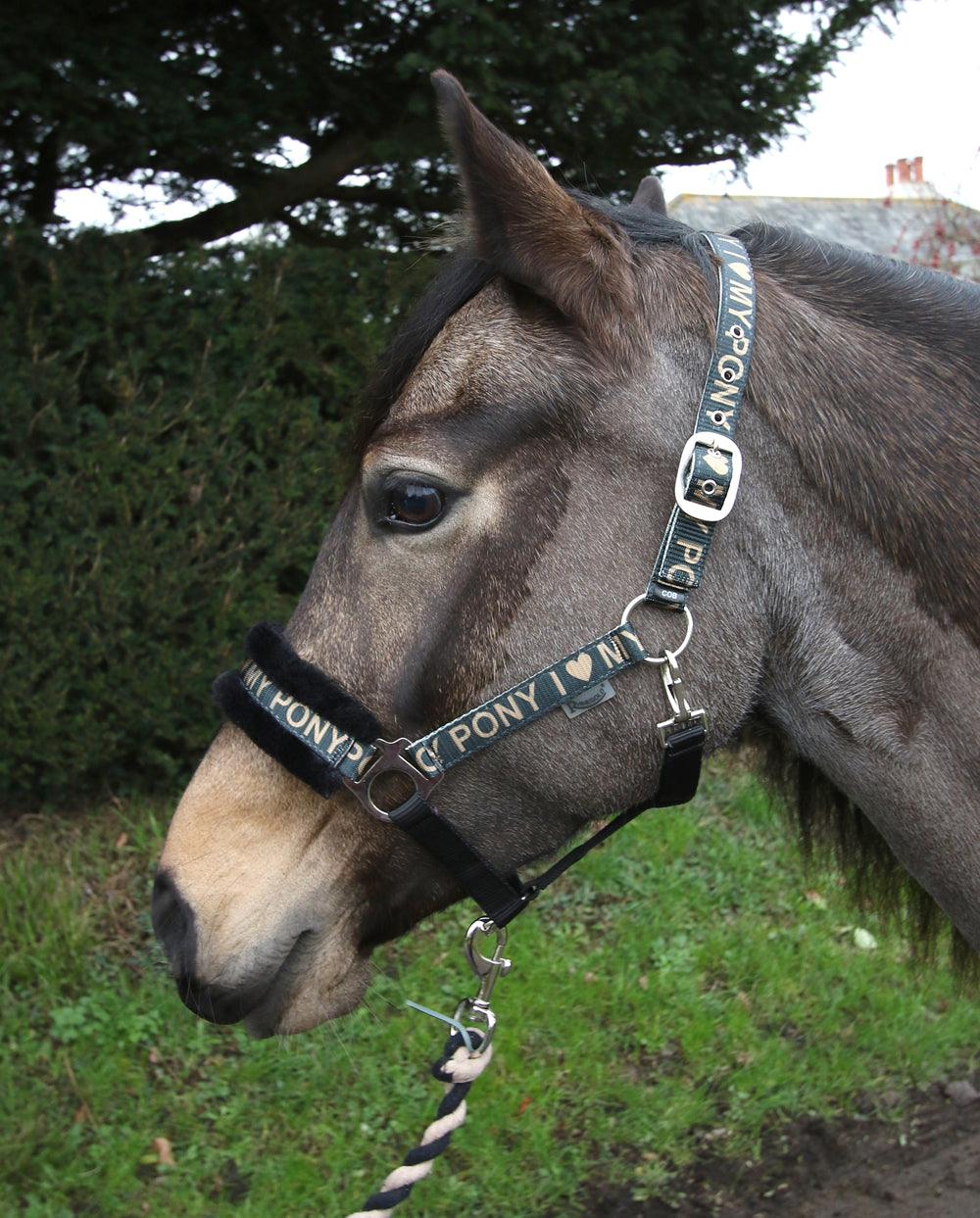 Rhinegold Licol et Longe Love My Pony Or - SHOPHORSE